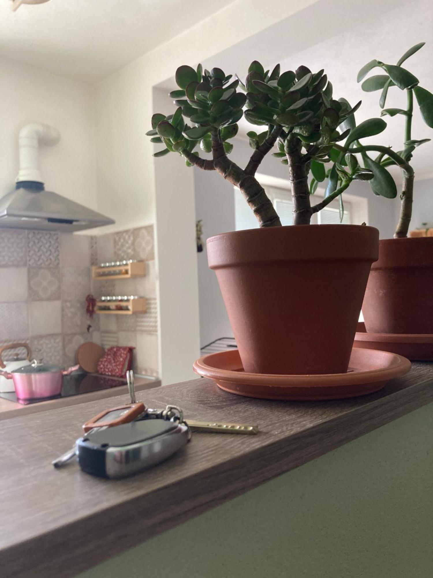 Liptovský Mikuláš Repose Residence מראה חיצוני תמונה